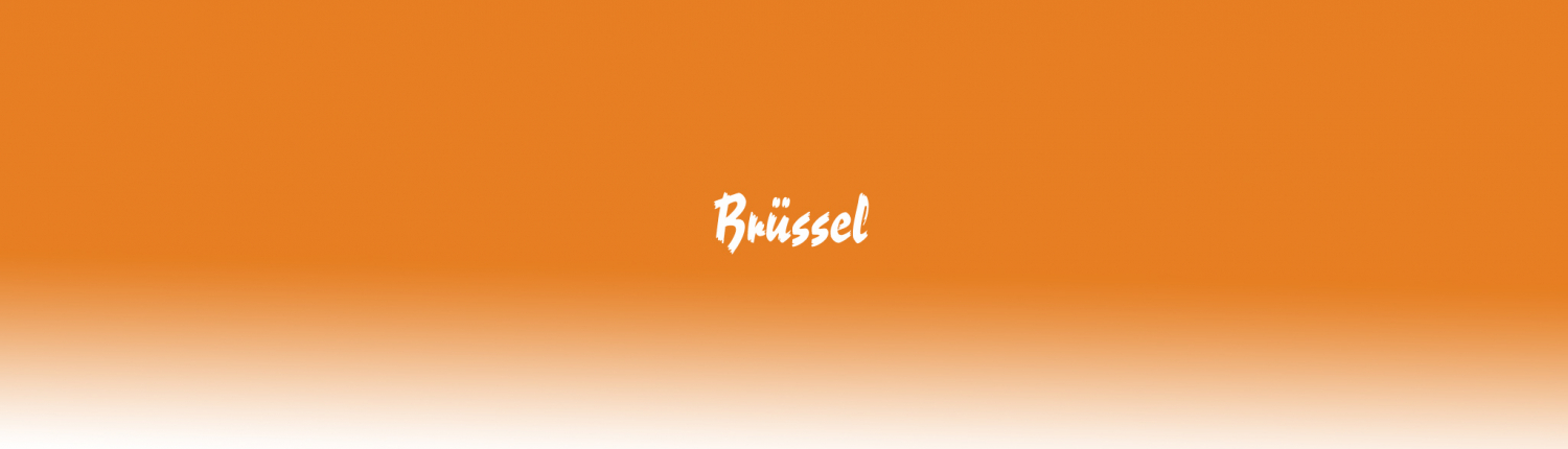Bruessel
