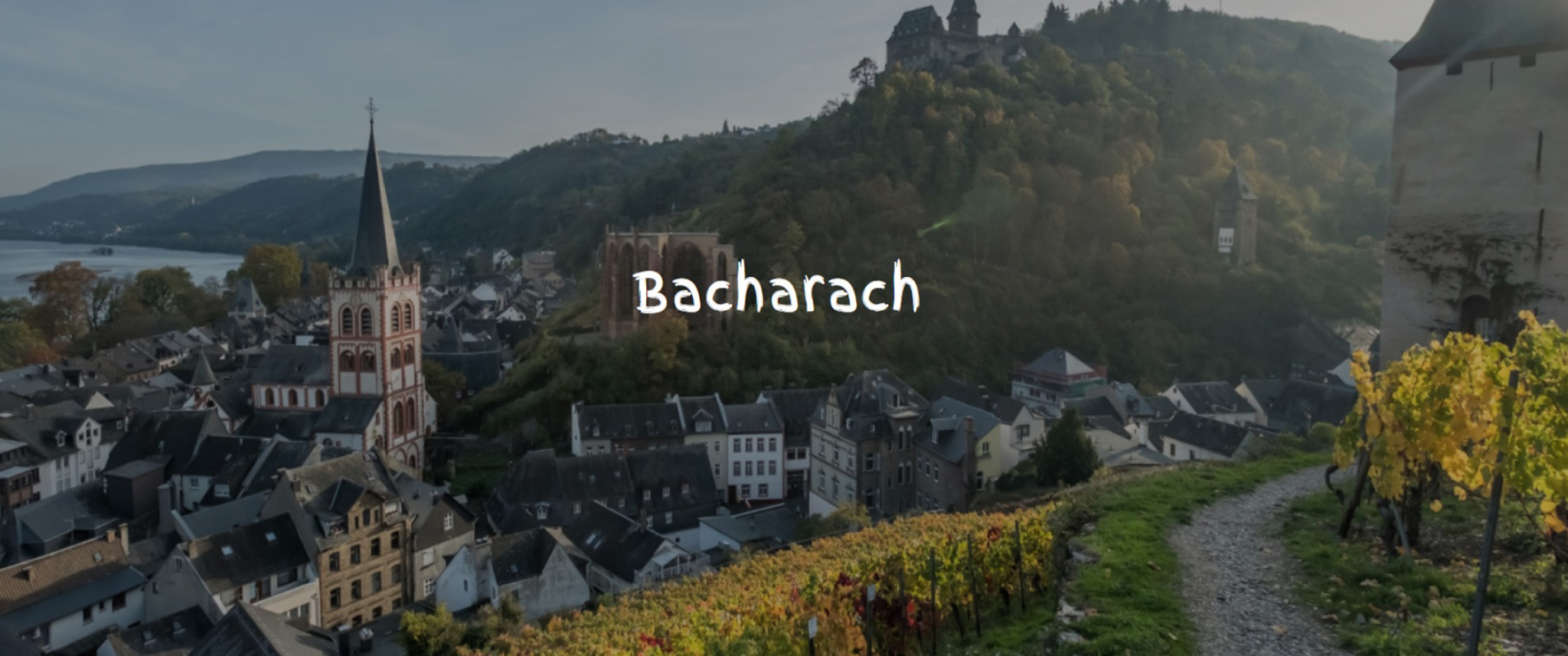 baccherach